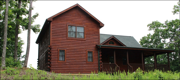 Professional Log Home Borate Application  Campbell County, Virginia